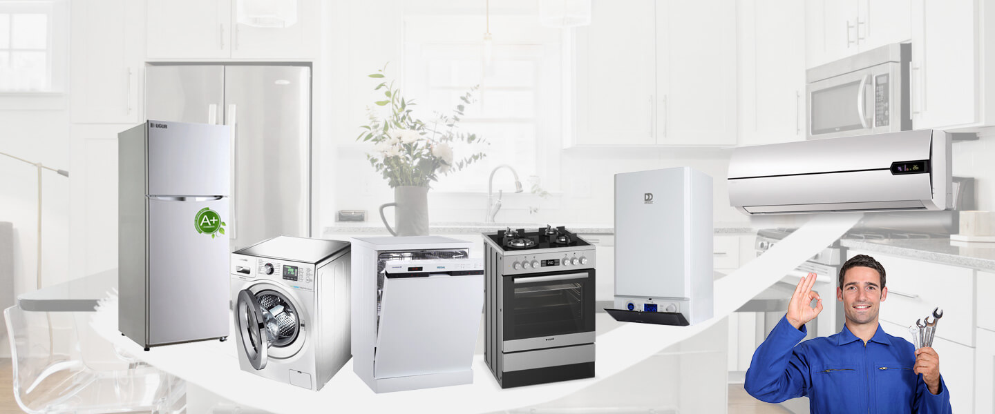 Çüngüş Warmhaus Servisi